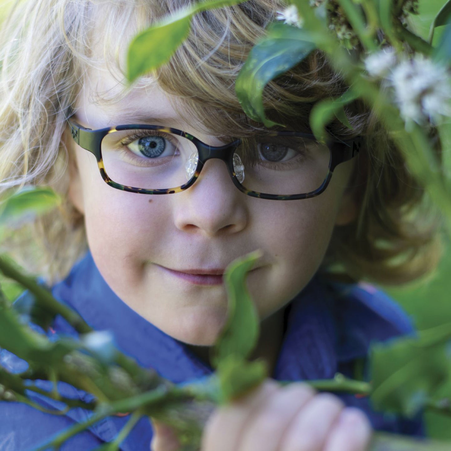 tomato glasses singapore malaysia