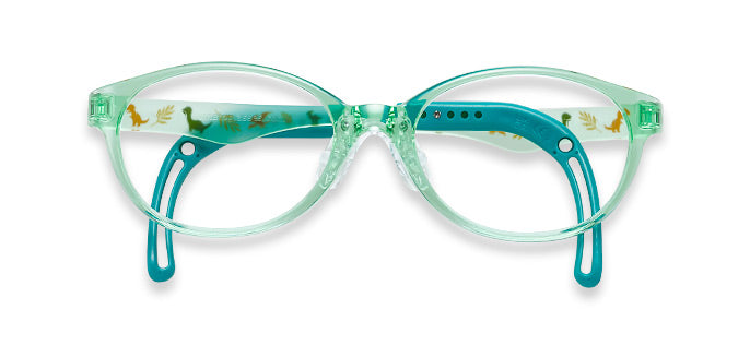 New! Dino Dreams TKFC1