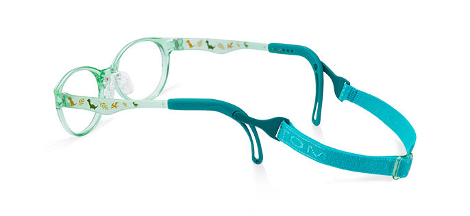 New! Dino Dreams TKFC1